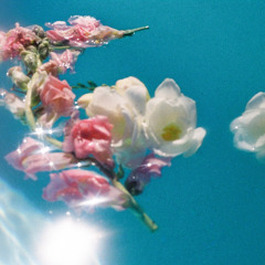 Her Safest Place - Tier 1