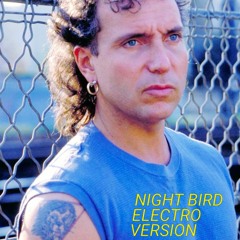 NIGHT BIRD (ELECTRO VERSION)