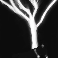 THE SOUND THAT TREES MAKE
