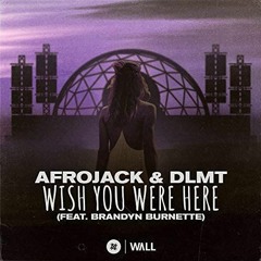 Afrojack & DLMT Ft. Brandyn Burnette - Wish You Were Here (Ivansson Handsup Edit)