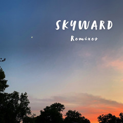 Olivia Rodrigo - drivers license - (SKYWARD Remix)