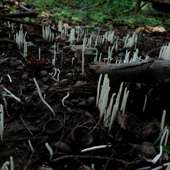 pick urself up (put the rest down) (demo)