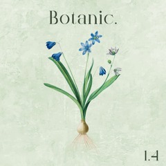 Botanic Sprout - 1.4 - JPDR