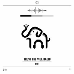 TRUST THE VIBE RADIO #001