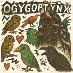 Ogygoptynx