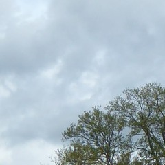 Wind - Voices - 9-05.23