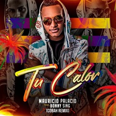 Mauricio Palacio DJ Ft Bonny Sing - Tu Calor (COBAH Remix) FREE DOWNLOAD