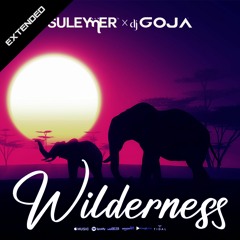 Suleymer X Dj Goja - Wilderness (Extended Version)