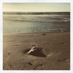 Appetite For Selection 055 - Charles Webster