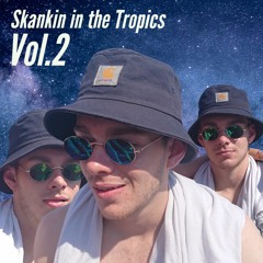 Skankin In The Tropics Vol. 2