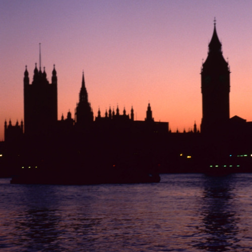 Cult Member - Life1 (Unreleased)