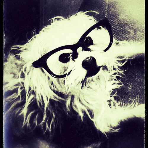 Nothing Shines Brighter