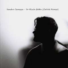 Sandro Cavazza - So Much Better (Callek Remix)