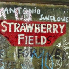 Strawberry Fields / She's So Heavy