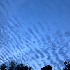 Lavender Waves in the Sky