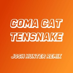 Tensnake - Coma Cat (Josh Hunter Remix)