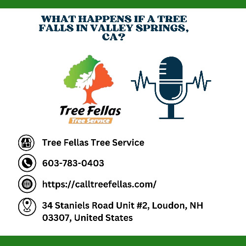 What Happens If a Tree Falls in Valley Springs, CA?