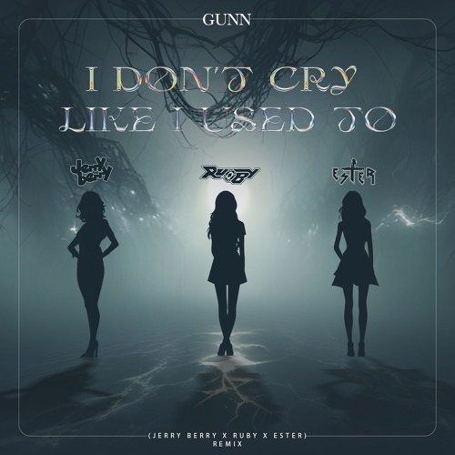 GUNN - I Don't Cry Like I Used To (JERRYBERRY x RUBY x ESTER Remix)