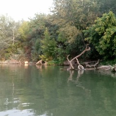 Tevere grande attore