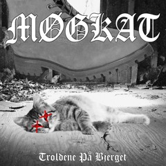 Møgkat