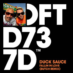 Duck Sauce - Fallin In Love (Butch Remix)