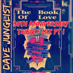 Amnesia House  - The Book Of Love 30th Anniversary Tribute Mix Pt I