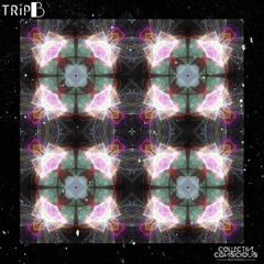 TRiP B - FAT