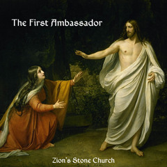 The First Ambassador