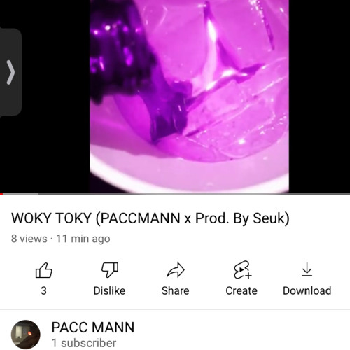 WOKY TOKY (PACCMANN X prod. by SEUK
