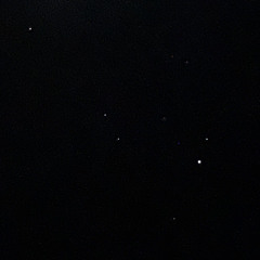 The stars