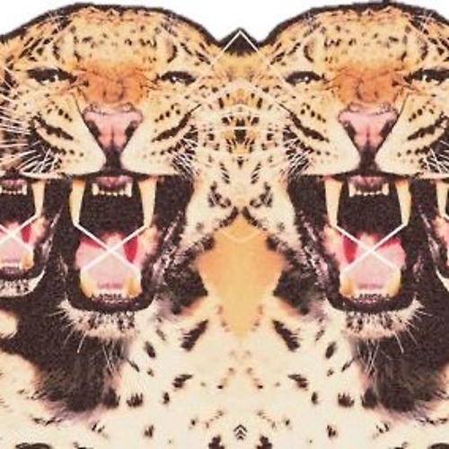 STALK PROD. CXO & ROK