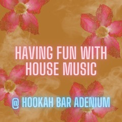Having fun with House music