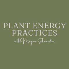 The Cō Practice: AromaPoint Therapy w/ Copaiba + Lemongrass