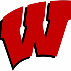 University Of Wisconsin Badgers Goal Horn