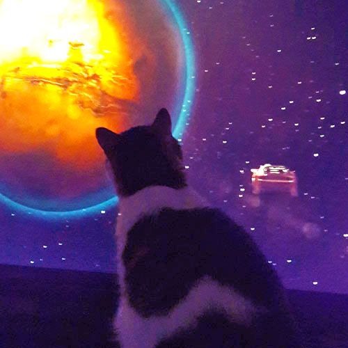 Cosmic Star by Jeamland & Heidi K