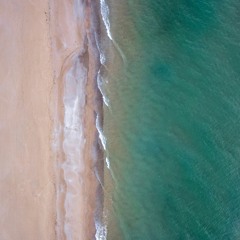 Russ Ryan - 16 November 2025