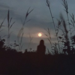 star shopping (Slowed)