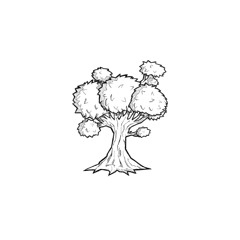 despedida de invierno