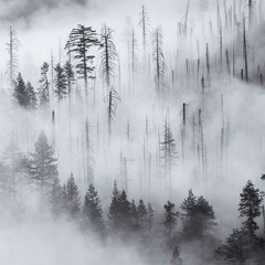 No Time To Die ~ Billie Eilish Cover