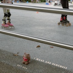 A Long Distance Song