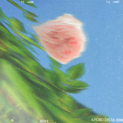 Pastel (Instrumental)