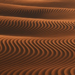 SYNCED SANDS