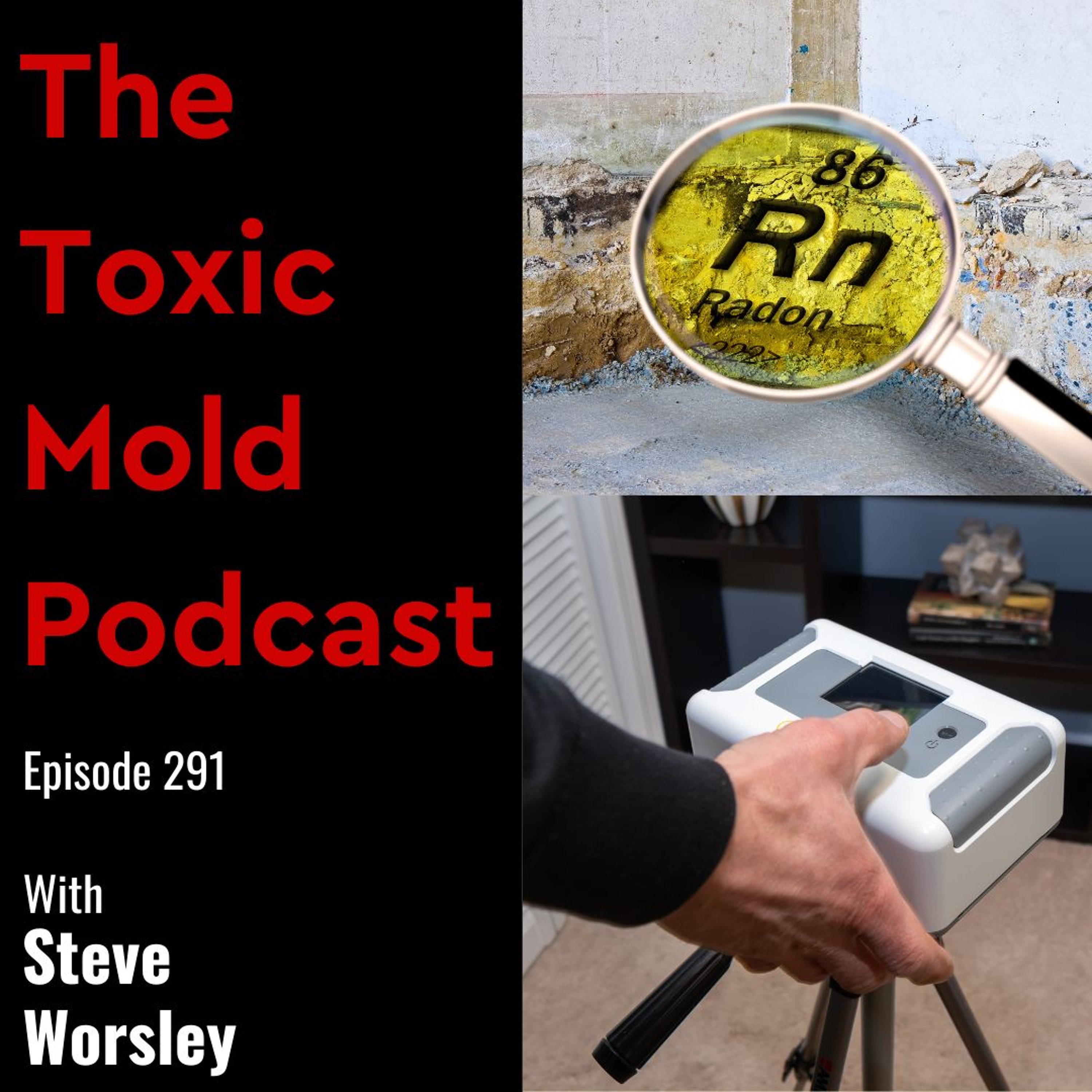 The Toxic Mold Podcast