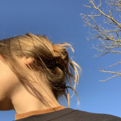 love, go lightly by twain