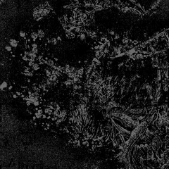 MARAUDA - AVOIDABLE CAUSE (break X MNNIC Remix)