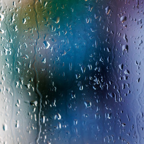 Rain on Conservatory Roof Schoeps MS70 - MixPre-7953