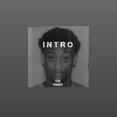 INTRO - The Sensei