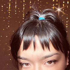 The Falling Star(I've Been Searching For)