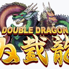 Double Dragon Misson 1