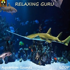 AQUARIUM SOUNDS - Bubbling Underwater Sounds for Sleep, Study, Relax - LOOP
